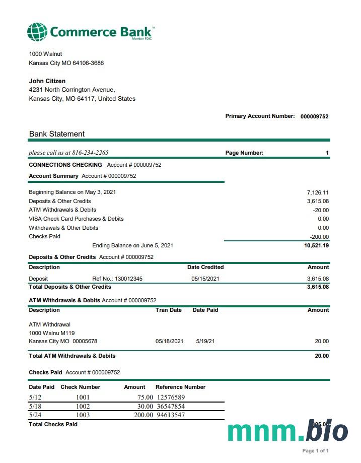 USA Coinbase konto statement szablon Worda i PDF